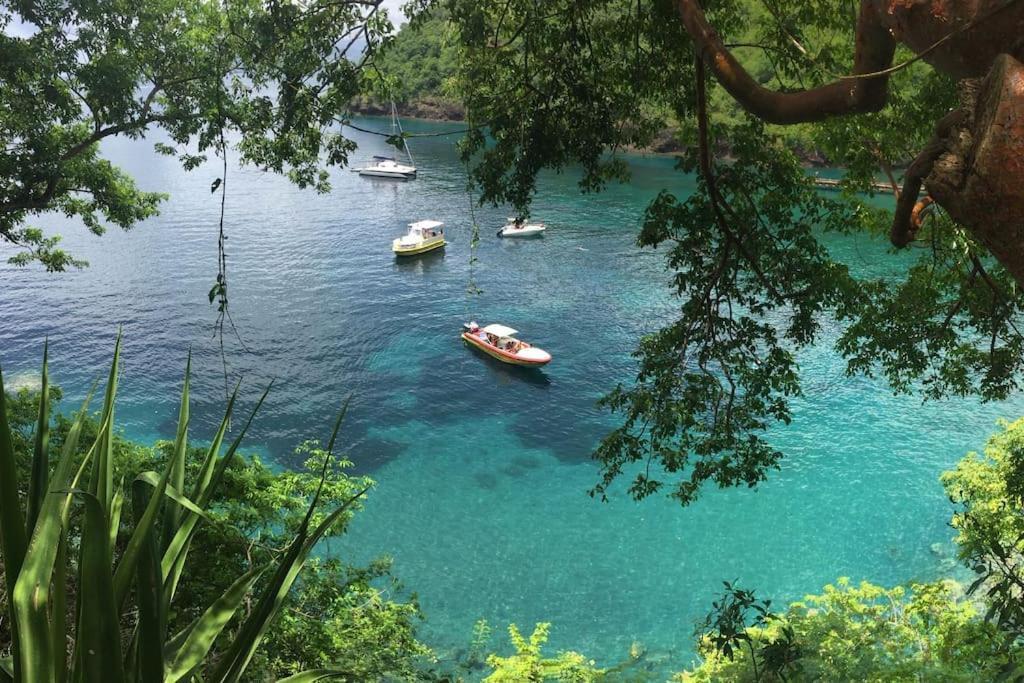 Le Marin - Bungalow Classe 3 Etoiles Tb Equipe & Confortable - Escapade En Couple - Paisible & En Toute Discretion - Wi-Fi - Climatisation - Calme & Serenite - Plages Du Sud, Centre De Carenage & Marina Du Marin Proche En Voiture - Acheminement Sur D Luaran gambar