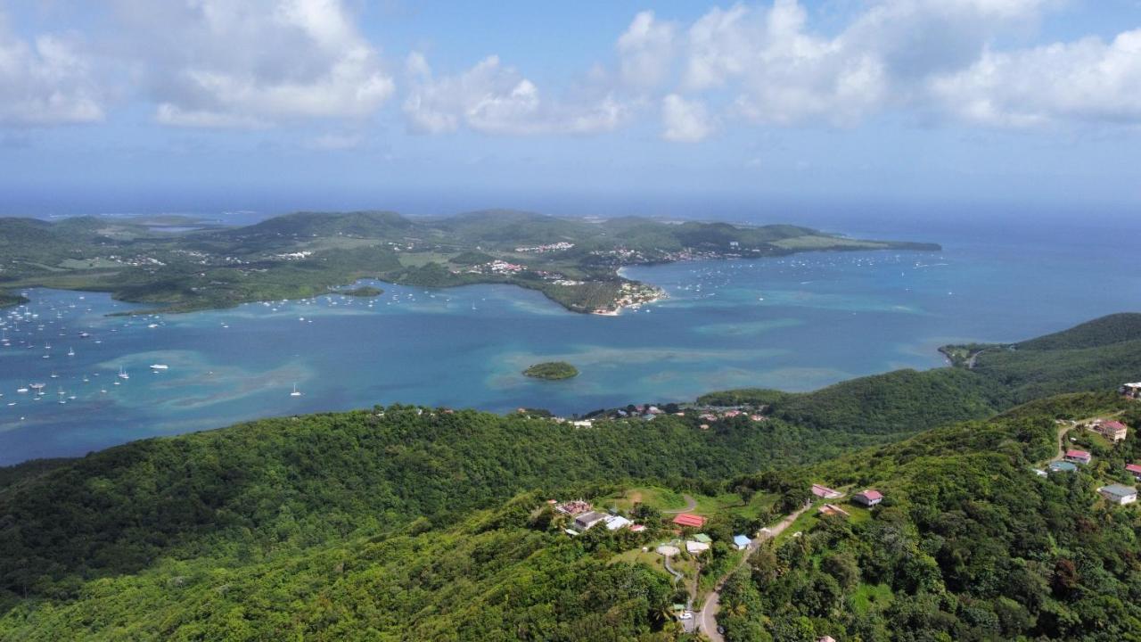 Le Marin - Bungalow Classe 3 Etoiles Tb Equipe & Confortable - Escapade En Couple - Paisible & En Toute Discretion - Wi-Fi - Climatisation - Calme & Serenite - Plages Du Sud, Centre De Carenage & Marina Du Marin Proche En Voiture - Acheminement Sur D Luaran gambar