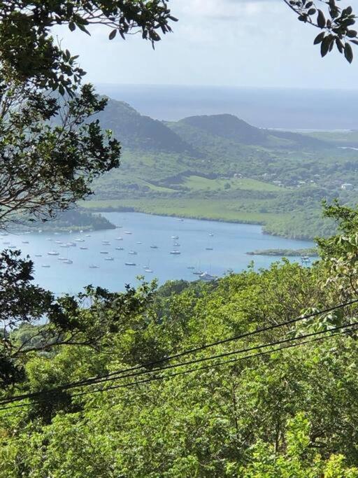 Le Marin - Bungalow Classe 3 Etoiles Tb Equipe & Confortable - Escapade En Couple - Paisible & En Toute Discretion - Wi-Fi - Climatisation - Calme & Serenite - Plages Du Sud, Centre De Carenage & Marina Du Marin Proche En Voiture - Acheminement Sur D Luaran gambar